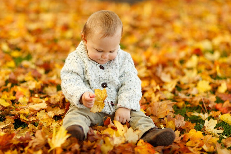 Baby sitting in fall leaves